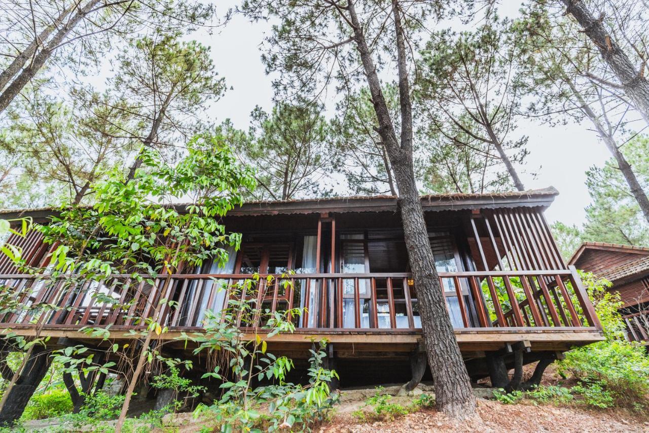 Sankofa Village Hill & Khu nghỉ mát 5*