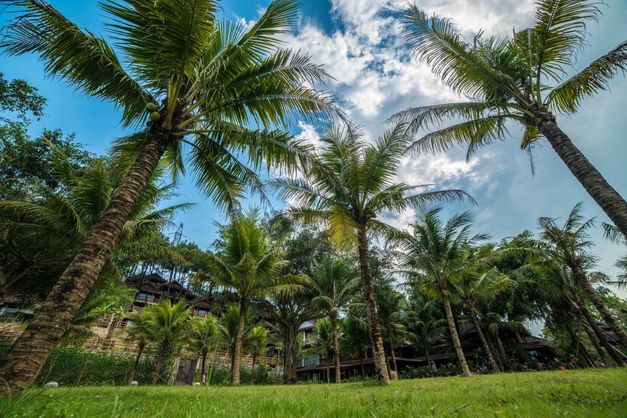 Sankofa Village Hill & Huế